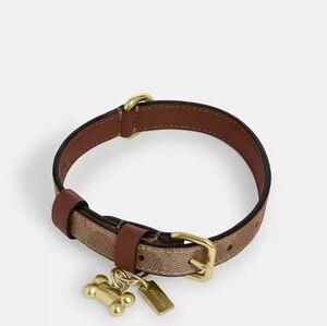 Coach Gold Dog Collar